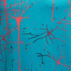 JOMA Camiseta Manga Corta Hombre Elite IX Turquesa -Deportiva Ropa Tienda 102755.725 8